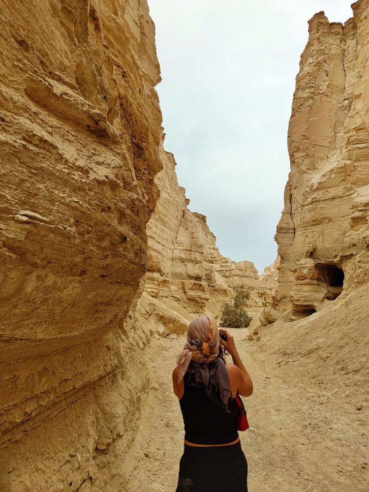 No description available yet