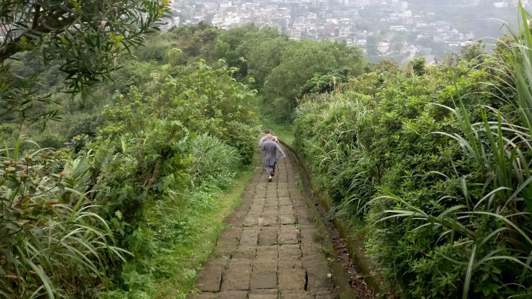 Two monks in simple grey clothes walking down a stone-paved path through tall shrubs