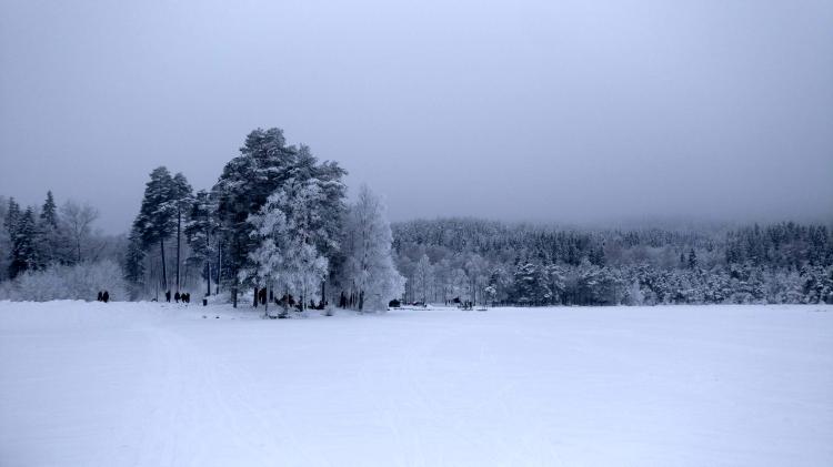 No description available yet