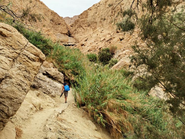 No description available yet