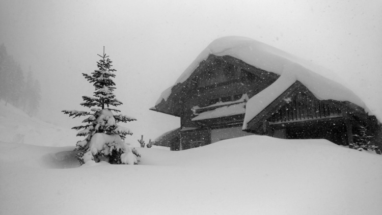 A fir tree and a wooden house covered and almost drowning in thick snow
