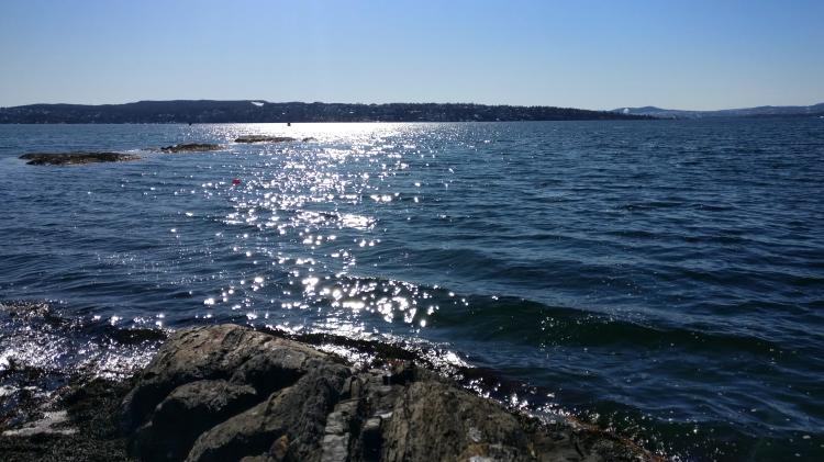 No description available yet