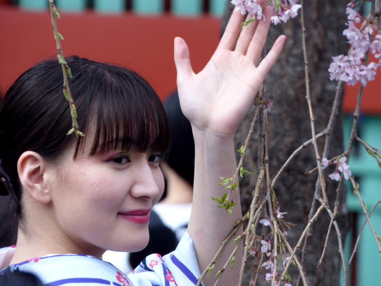 A woman posing for a picture next to a cherry tree, extending one hand to some blossoms on the tree