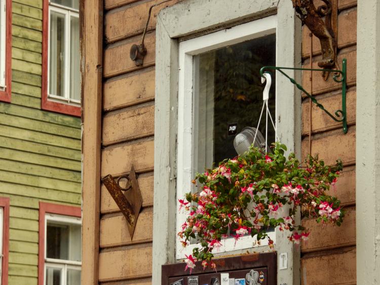 A plant with small pink blossoms growing out from a pot hanging next to a window in a rustic wooden facade