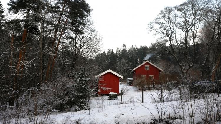 No description available yet