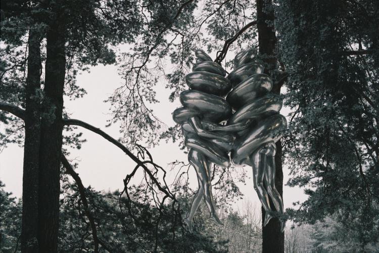 No description available yet