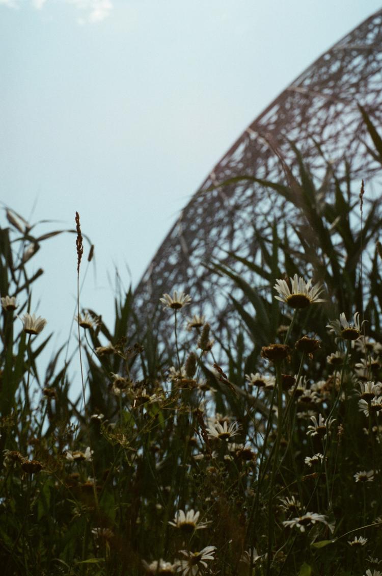 No description available yet