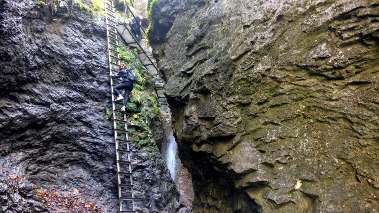 No description available yet