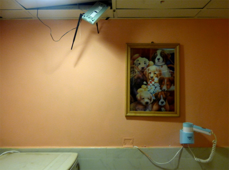 A yellow wall with a crooked 3D-picture of some dogs, a wall-mounted hair-drier and a WiFi router hanging through a hole in the ceiling