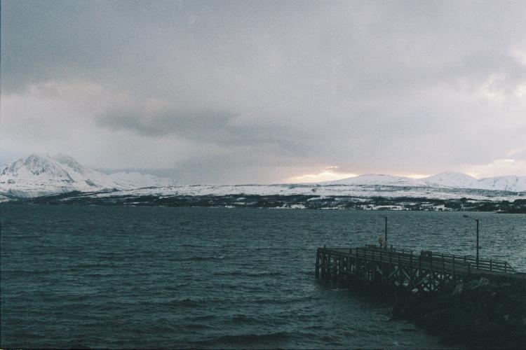 No description available yet