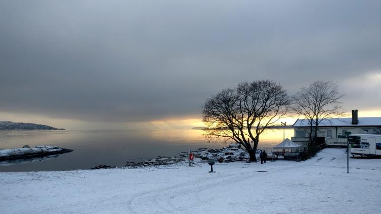 No description available yet