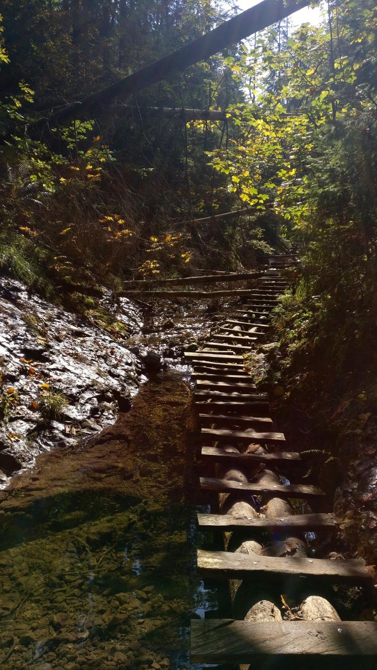 No description available yet