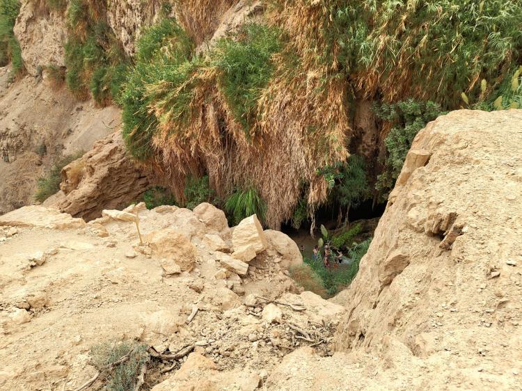 No description available yet