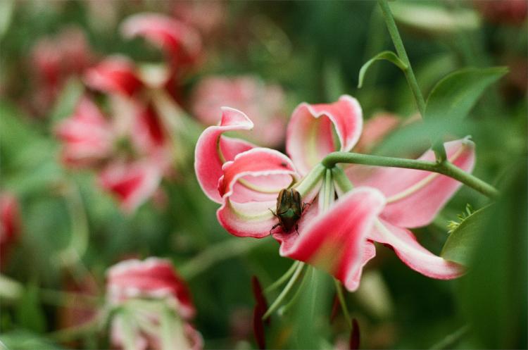 No description available yet