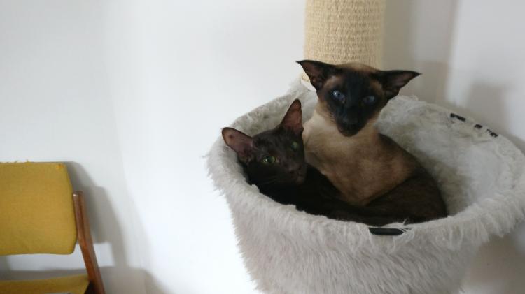 No description available yet