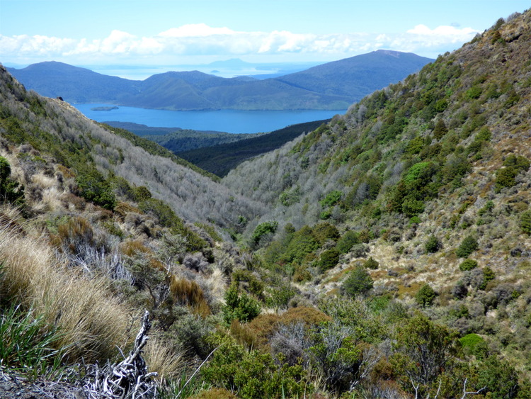 A ridge in a mountain landscape overgrown with shrubs and tall grass with more mountains and a lake in the distance