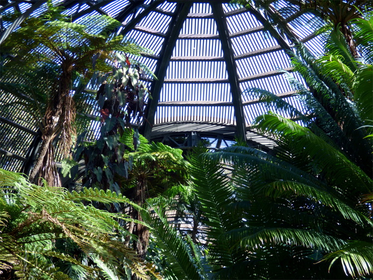 Exotic palms and other plants growing under a grated iron dome construction