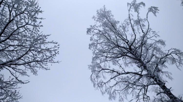 No description available yet