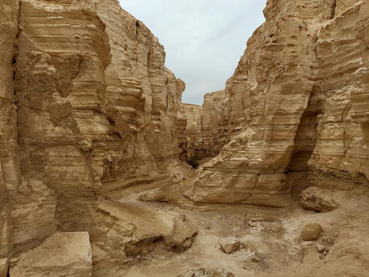 No description available yet