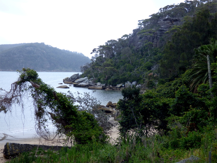 View of an overgrown beach landscape
